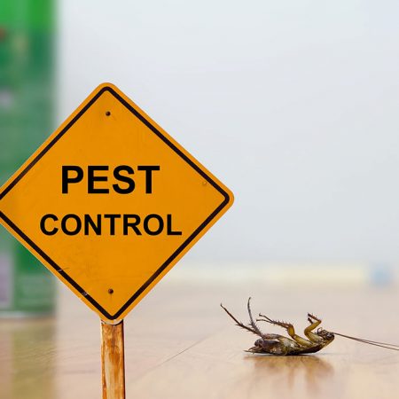 pest control insurance and subscription