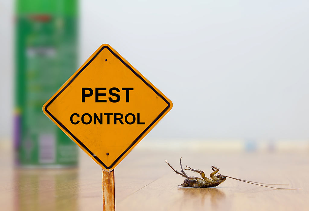 Varying pest control insurance, you must get immediately